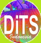 DiTS